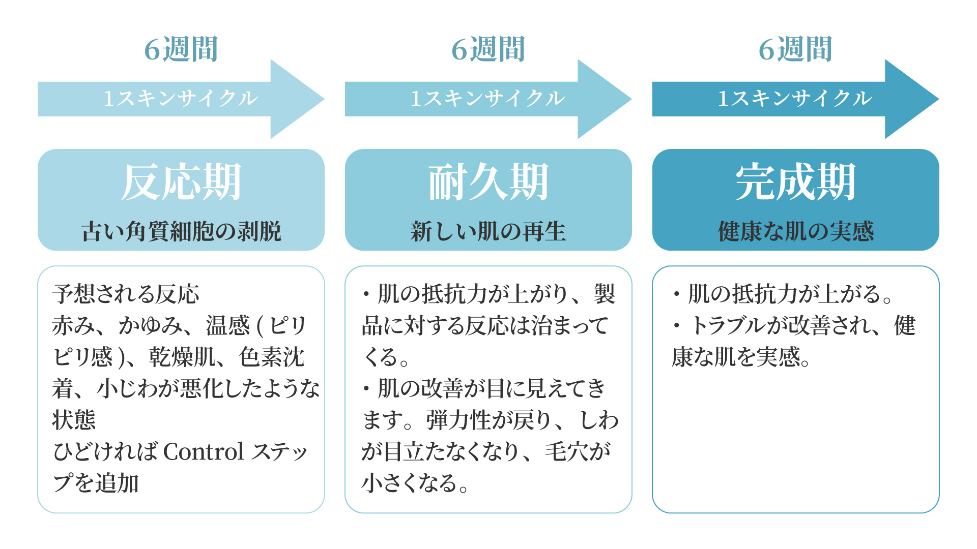 集中治療プログラム「セラピューティック」